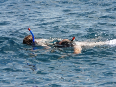Golfinhos & snorkling_15